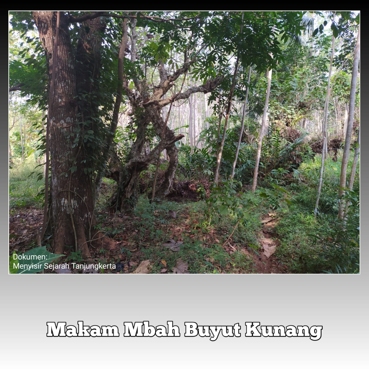 Tanjungkerta; Mitos Dilarang Bersihkan Makam Leluhur dan Klaim Sejarah Sejak Zaman Mataram